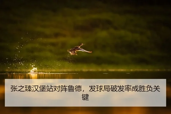 张之臻汉堡站对阵鲁德，发球局破发率成胜负关键